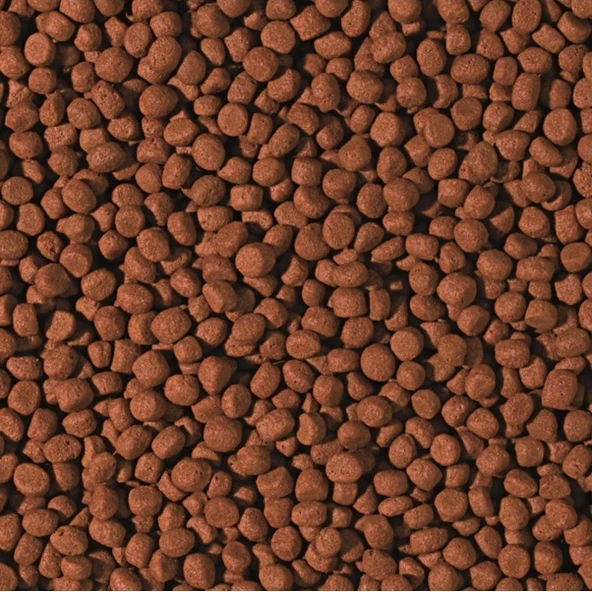 TROPICAL- CICHLID CARNIVORE MEDIUM PELLET 250GR - Resim 2