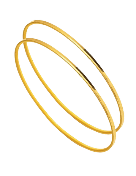 20 gr 22 Ayar Ajda Bilezik ( 10gr x 2 Adet ) - 2