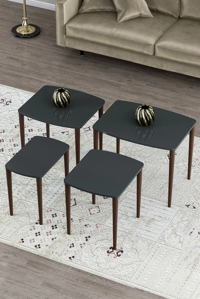 Alyona Serisi Mdf Lake Boyalı Tabla Gürgen Ayaklı 4 Lü Zigon Sehpa Takımı Çay Sehpası Servis Sehpası Ceviz - 3