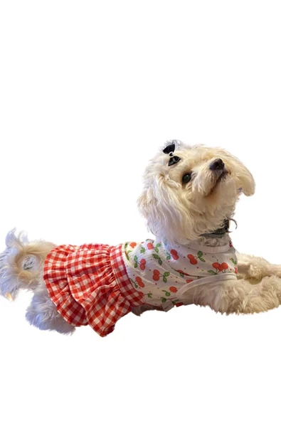 GedyCo Kirazlı Kareli Küçük Irk Köpek Elbisesi ürün görseli