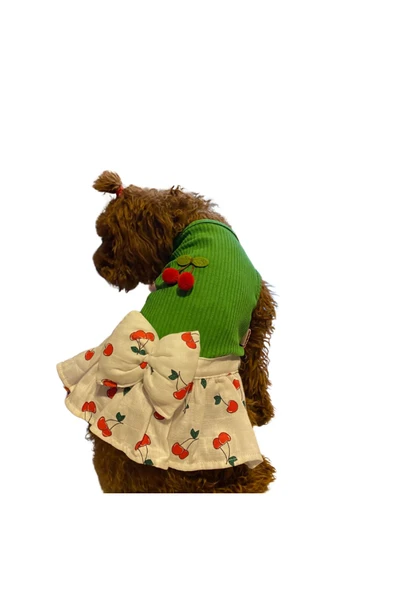 GedyCo Küçük Irk Köpek Için Kirazlı Yeşil Elbise ürün görseli