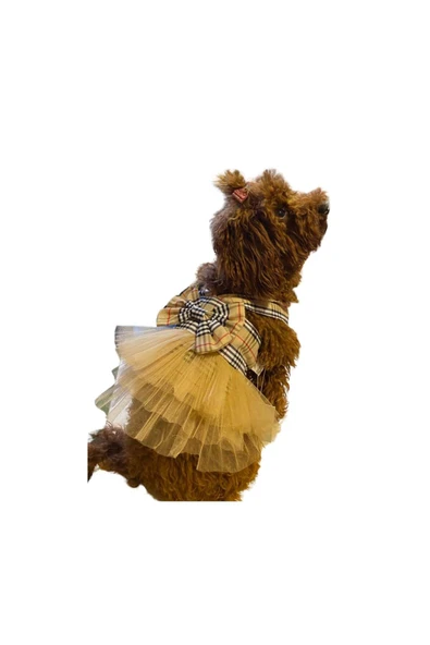 GedyCo Bej Ekose Tütülü Küçük Irk Köpek Elbisesi