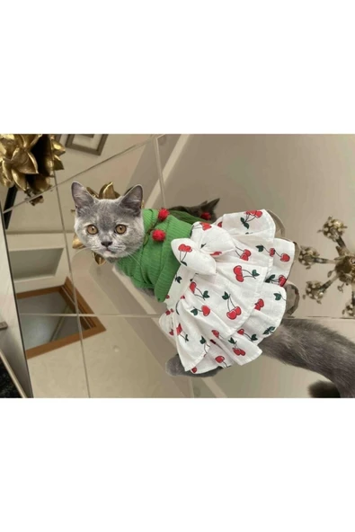 GedyCo Küçük Irk Köpek Için Kirazlı Yeşil Elbise - Resim 4