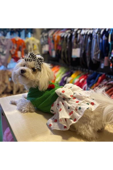 GedyCo Küçük Irk Köpek Için Kirazlı Yeşil Elbise - Resim 5