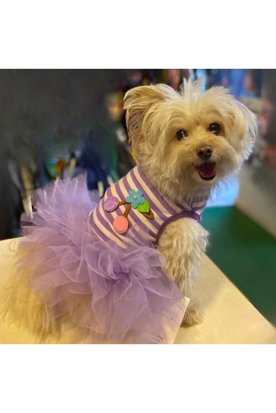 GedyCo Küçük Irk Köpek için Lila Tütü Elbise - 2