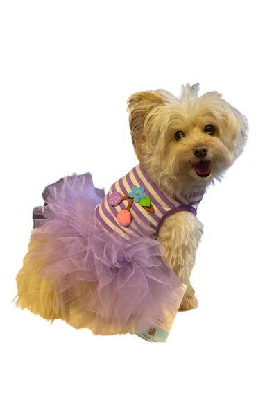 GedyCo Küçük Irk Köpek için Lila Tütü Elbise - 3