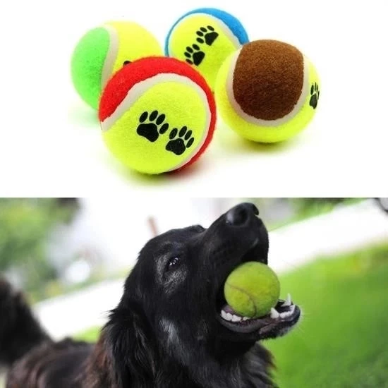 3lü Renkli Desenli Tenis Topu Kedi Köpek Oyuncağı - Resim 3