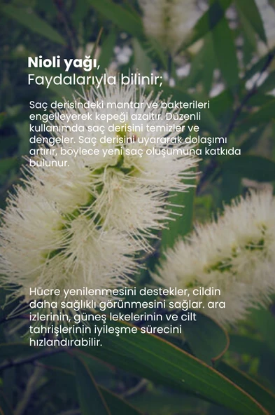 TTO Thermal Nioli yağı 10 ml - 3