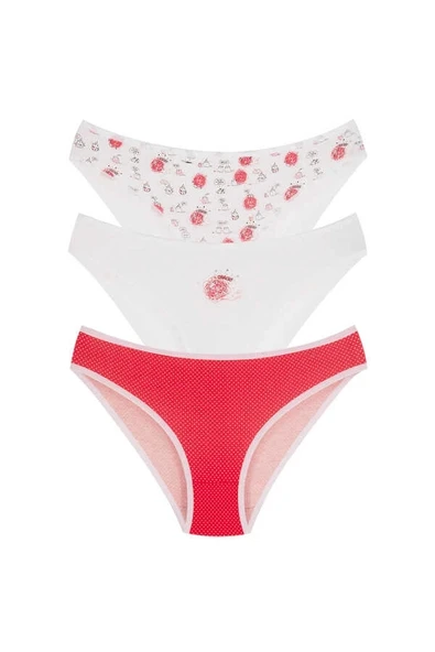 BERRAK 11370 KADIN 3 LÜ ASORTİ BİKİNİ - Resim 4