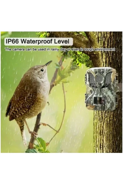 CEYLAN ADAM Fotokapan Kamera 16mp Full Hd 1080p Gece Görüşlü 2 Inç Lcd Ekran Su Geçirmez - 3