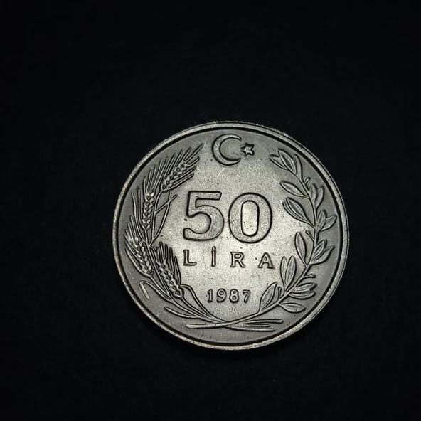 Escoines 39963688b54d01ac80 1987 50Lira çil Para - Resim 4