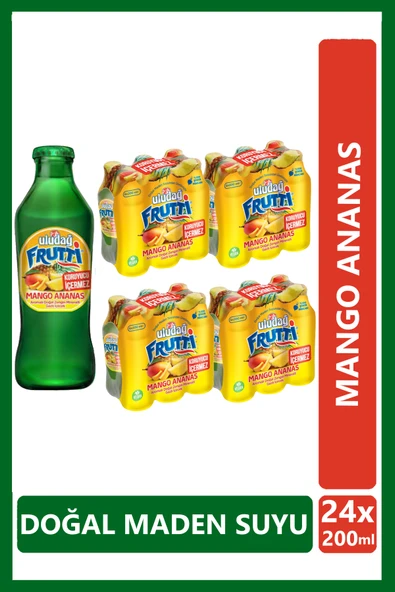 Uludağ Frutti Mango Ananas Aromalı Maden Suyu 200 ml x 24 Adet - 2