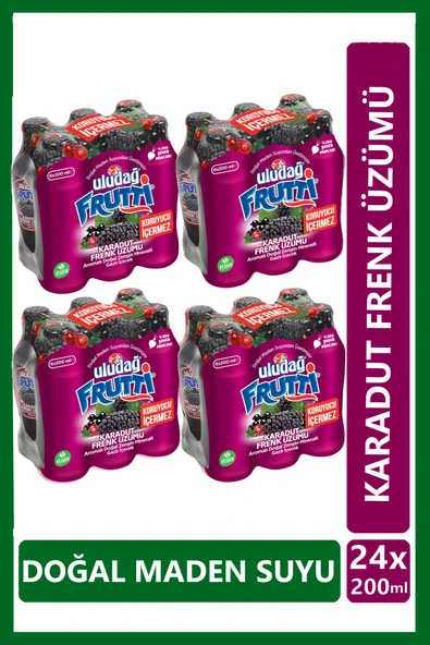 Uludağ Frutti Karadut Frenk Üzümü Aromalı Maden Suyu 200 ml x 24 adet - 1