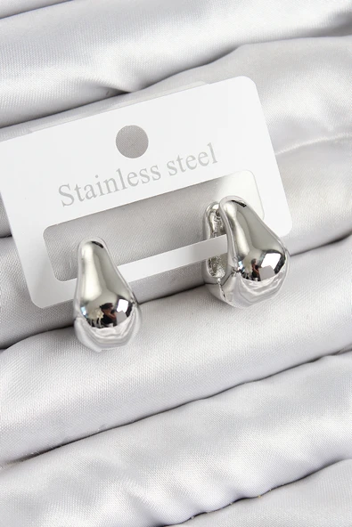 Pirinç Halka Model Gümüş Renk Kadın Küpe - EBJ250802W37003 ürün görseli