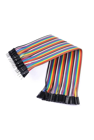 Fapatech 40 Pin Ayrılabilen Dişi Erkek 40 Pin umper Kablo (20cm) - Resim 2