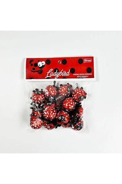 Parti Dükkanım Uğur Böceği Çikolata Elvan 15 Adet - Resim 2