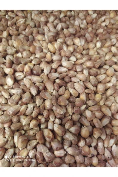 Kuruyemiş Mısır Kavurgası  250 gr - 1