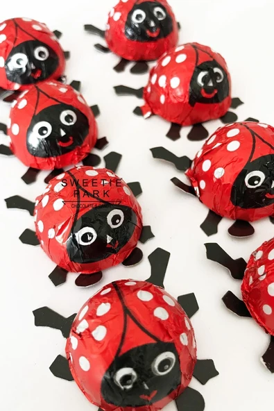 Sweetie Park Ladybird Lady Bird 10 Adet Ladybug Kırmızı Uğur Böceği Elvan Hediye Pinyata Bayram Çikolata - 1