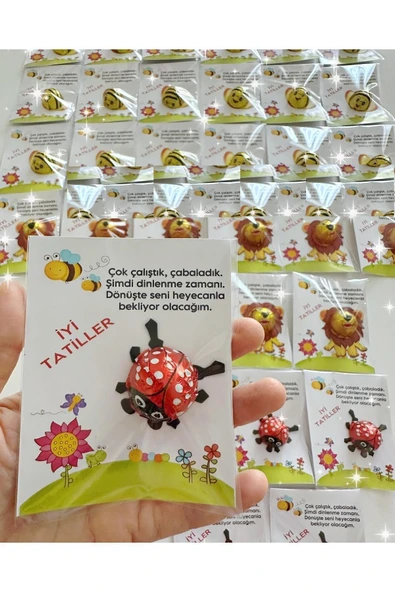 ŞEKERCİYAŞAR Uğur Böceği Çikolatalı İyi Tatiller- Okul- Çocuk- Karne Hediyesi 100 Adet