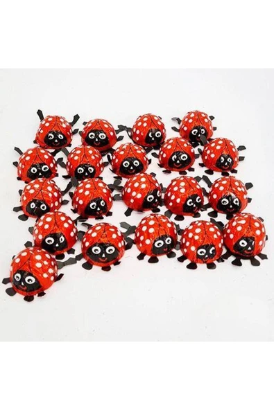 Parti Dükkanım Uğur Böceği Çikolata Elvan 15 Adet - Resim 3