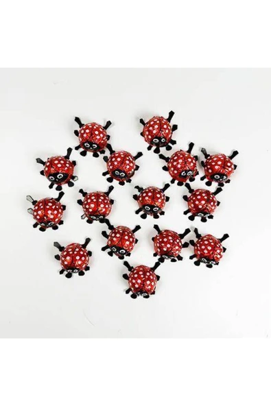 Parti Dükkanım Uğur Böceği Çikolata Elvan 15 Adet - Resim 4