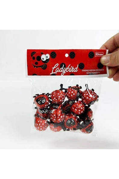 Parti Dükkanım Uğur Böceği Çikolata Elvan 15 Adet - Resim 6