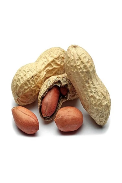 Kuruyemiş Kabuklu Fıstık 100 gr - 1