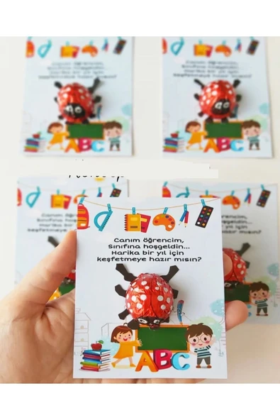 ŞEKERCİYAŞAR Uğur Böceği Çikolatalı İyi Tatiller- Okul- Çocuk- Karne Hediyesi 10 Adet - 2