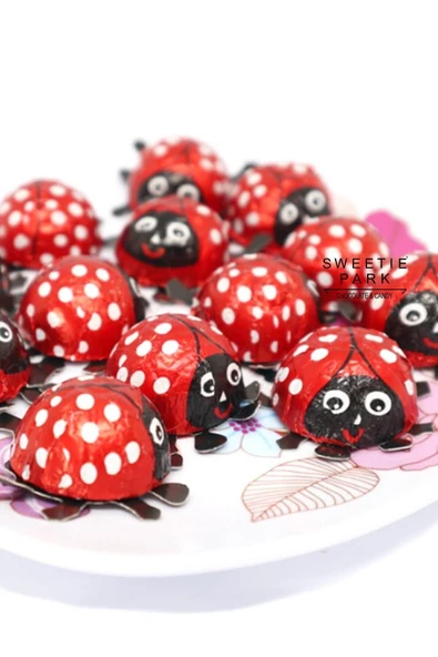Sweetie Park Ladybird Lady Bird 10 Adet Ladybug Kırmızı Uğur Böceği Elvan Hediye Pinyata Bayram Çikolata - 3