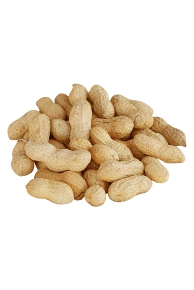 Çerez Çarşısı Kabuklu Fıstık 500 Gram - 1