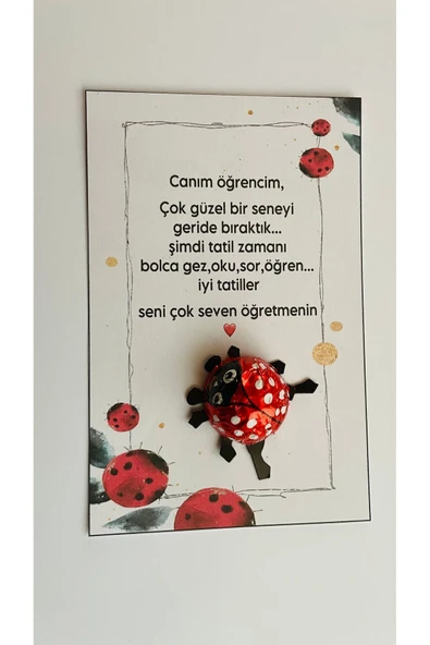 ŞEKERCİYAŞAR Örümcek Çikolatalı Özel Okul Tatil Çocuk Hediye Çikolata 50 Adet