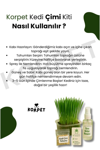 KorPet Kedi Otu Çimi Kiti – Evde Yetiştir, Pratik ve Eğlenceli Set - 2