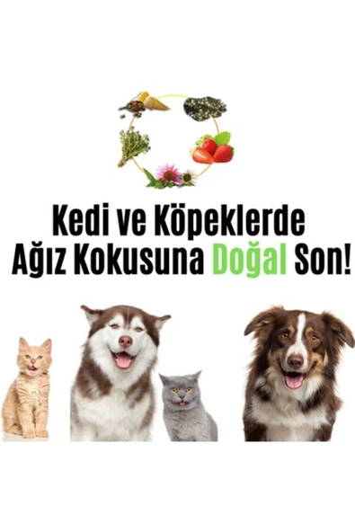 VETUGEN %100 Doğal Aktif Bileşenli Kedi Ve Köpek Diş Macunu Şeffaf Kapaklı Parmak Fırça - 2