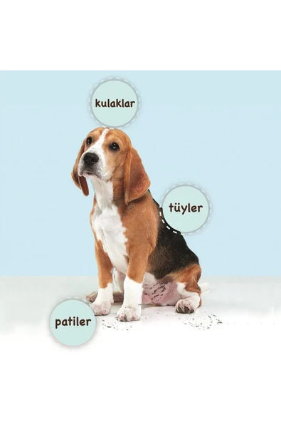 Klerax Be Active Pet Wipes Evcil Hayvanlar Için Temizlik Mendili 40 Yaprak - Resim 6