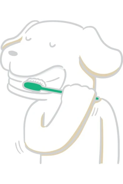 VETUGEN %100 Doğal Aktif Bileşenli Kedi Ve Köpek Diş Macunu Şeffaf Kapaklı Parmak Fırça - 5