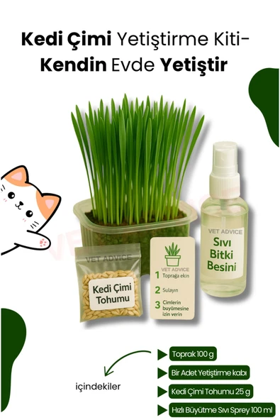 KorPet Kedi Otu Çimi Kiti – Evde Yetiştir, Pratik ve Eğlenceli Set
