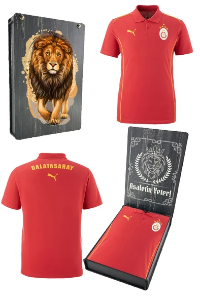Galatasaray Orijinal Lisanslı Polo Yaka Kırmızı Antrenman 5 Yıldızlı T-Shirt Gs Aslan Baskılı Hediyelik Ahşap Kutulu ürün görseli