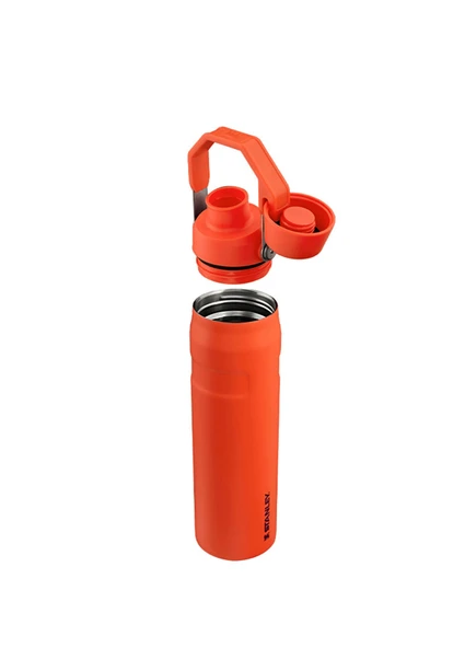 IceFlow™ Fast Flow Soğuk Su Termosu | 0.6L - Resim 3