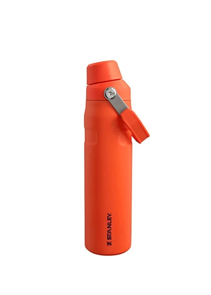 IceFlow™ Fast Flow Soğuk Su Termosu | 0.6L ürün görseli