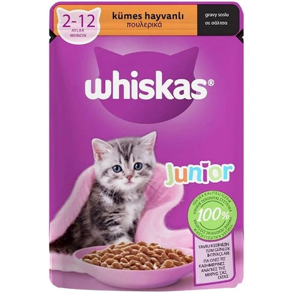 Whiskas Junior Kümes Hayvanlı Yavru Kedi Konserve Maması 85 gr ürün görseli 1