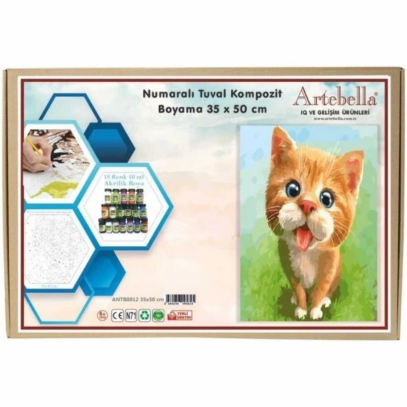 Artebella 35x50 Numaralı Kompozit Tuval Boyama kedi ANTB0012 ürün görseli
