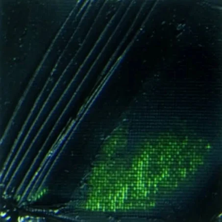 Pebeo 17 Huile Fine Xl Yağlı Boya - Sap Green - 200ml ürün görseli