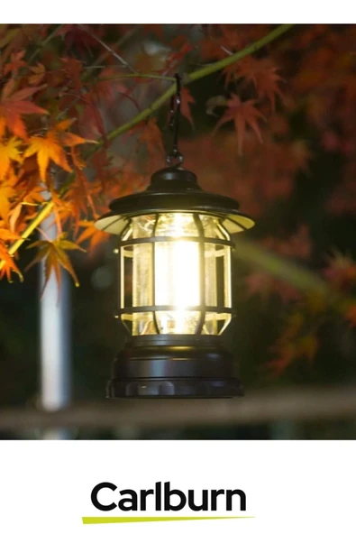 Özel Üretim 2 Kademeli 500 Lümen Enerji Tasarruflu Dekoratif 3 COB Retro LED Kamp Lambası - 3