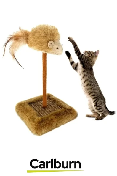 Premium Tırnak Törpüleme 14x14cm En 26cm Yükseklik Dayanıklı Sesli Oyuncaklı Kedi Tırmalama Tahtası - 5