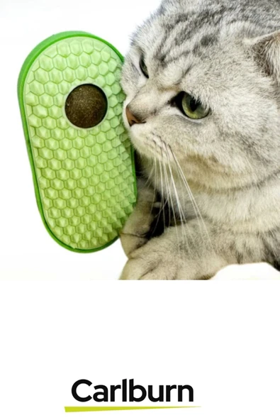 Premium Seri Yumuşak Çıkıntılı Yapı Yapışkanlı Silikon Kaşıyıcılı Kedi Otu - 3