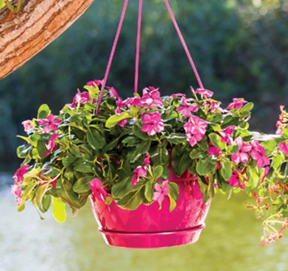 Omnipazar SO-SM02 Safir Makrome Askılı Balkon Saksı 3.4 lt Vişne 6 Adet - Resim 3