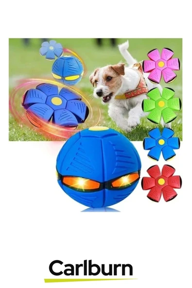 Özel Üretim İnteraktif Fiziksel Zihinsel Aktivite Sağlayan Işıklı Zıplayan Frizbi Evcil Hayvan Topu - Resim 4