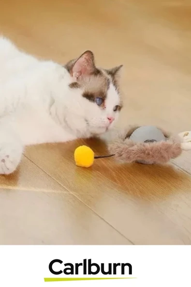 Premium Seri Küçük Boyutlu Yumuşak Tüylü Usb Şarjlı Kedi Oyuncağı - 4