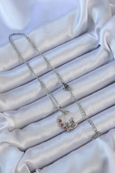 316L Çelik Zincir Gümüş Renk Kırmızı Gül Detay Kedi Figür Zirkon Taşlı Ay Kolye - Resim 2