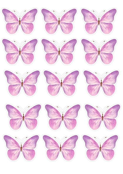 Kelebek Yenilebilir Cupcake ve Pasta Resim Baskı ürün görseli